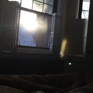 Meet your Posher, Josie